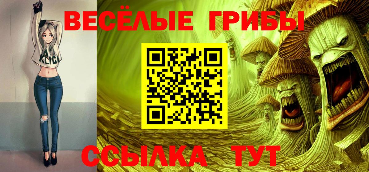 Ступино  Псилоцибиновые грибы Psilocybe  Псилоцибиновые грибы MAGIC MUSHROOMS  Вход с VPN 