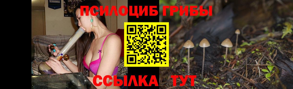 Псилоцибиновые грибы прущие грибы Ступино